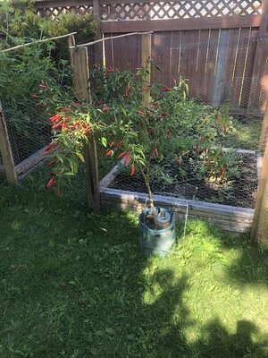 IMG_2297.jpeg
