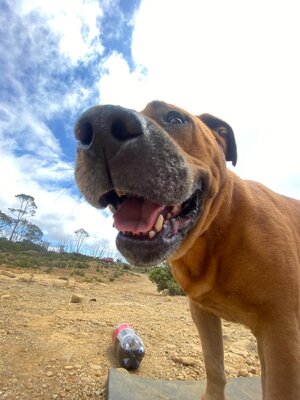 IMG_3983.jpeg
