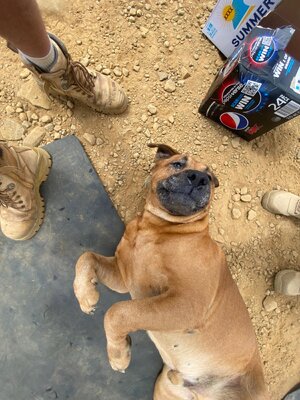 IMG_3981.jpeg