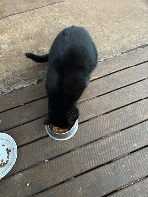 IMG_0915.jpeg