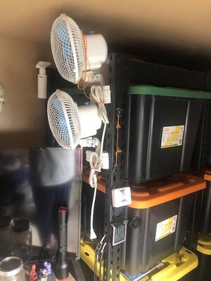 IMG_2338.jpeg IMG_2338.jpeg