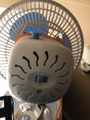 IMG_2350.jpeg IMG_2350.jpeg