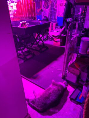 IMG_5198[1].jpeg