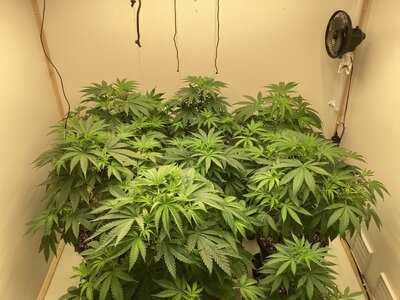 444FE002-51E2-4061-9661-720CBD256D4A.jpeg