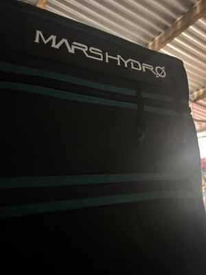 IMG_1062.jpeg IMG_1062.jpeg