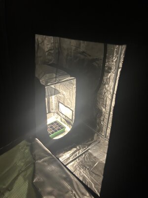 IMG_1066.jpeg