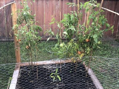 IMG_2434.jpeg IMG_2434.jpeg