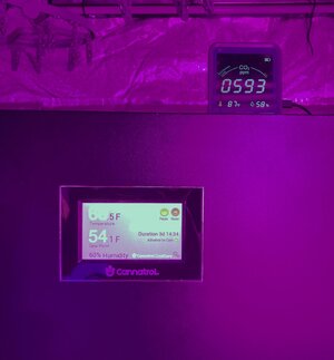 IMG_5334[1].jpeg