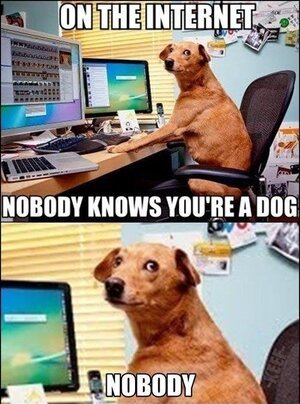 dog internet.jpg dog internet.jpg