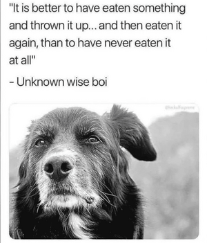 dog eats.png dog eats.png