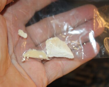 Sept 30 white hash.jpg Sept 30 white hash.jpg