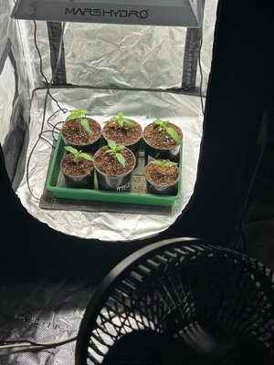 IMG_1193.jpeg IMG_1193.jpeg