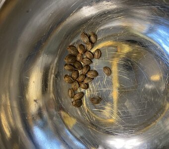 IMG_5388[1].jpeg