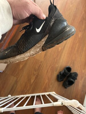 IMG_1203.jpeg