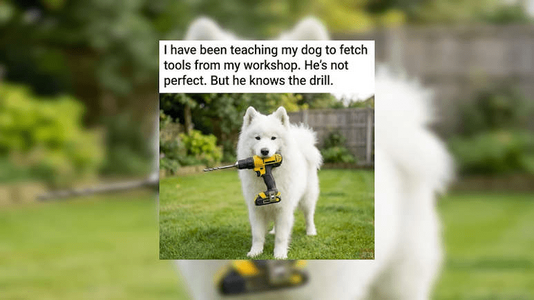 1792258949281.png 1792258949281.png