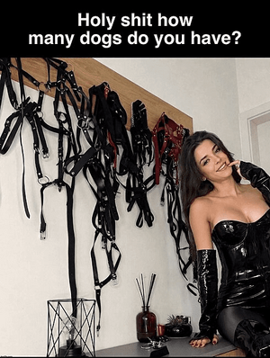 1792259709423.png 1792259709423.png