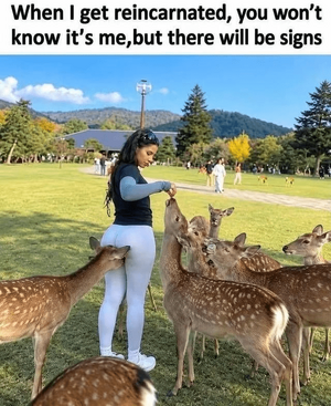 1792356895043.png 1792356895043.png