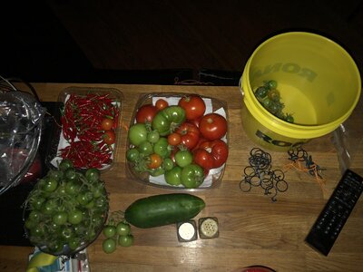 IMG_2806.jpeg IMG_2806.jpeg