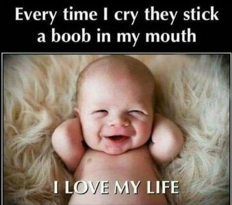 boob life.jpeg boob life.jpeg