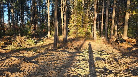 20261018_172456.jpg