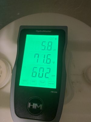 IMG_3019.jpeg