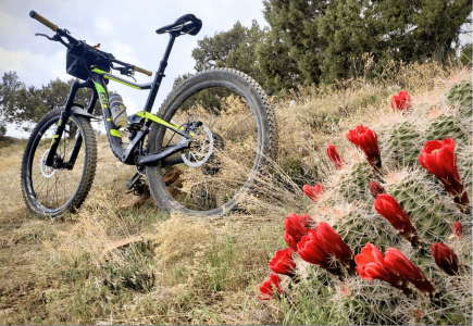 fruita_co_mtb.png