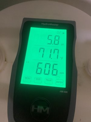 IMG_3055.jpeg