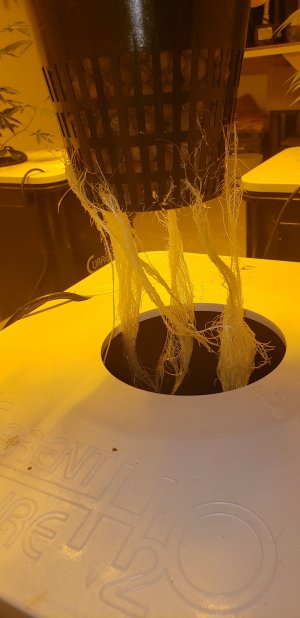 20230702_093231.jpg