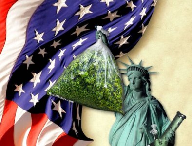 statue-liberty-weed-memes-758x578.jpg