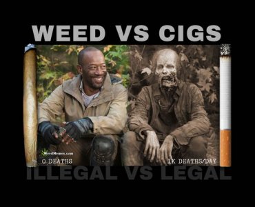 cannabis-memes-3.jpg