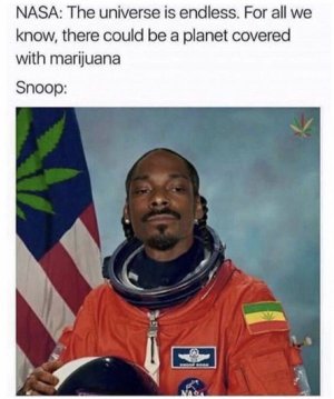 hilarious-weed-memes-1.jpg