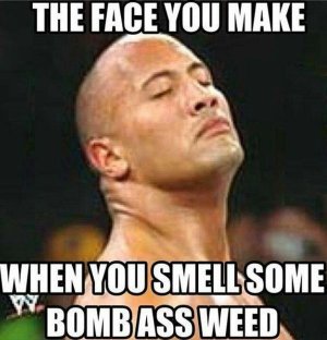 out-of-weed-meme-3.jpg