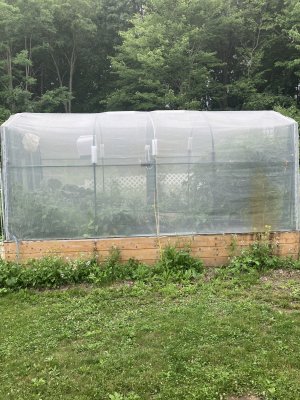 greenhouse2 7:2.jpeg
