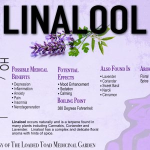 Linalool Terp Sheet.jpg