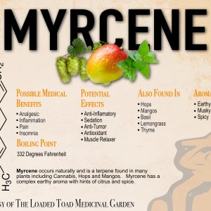 Myrcene Terp Sheet.jpg
