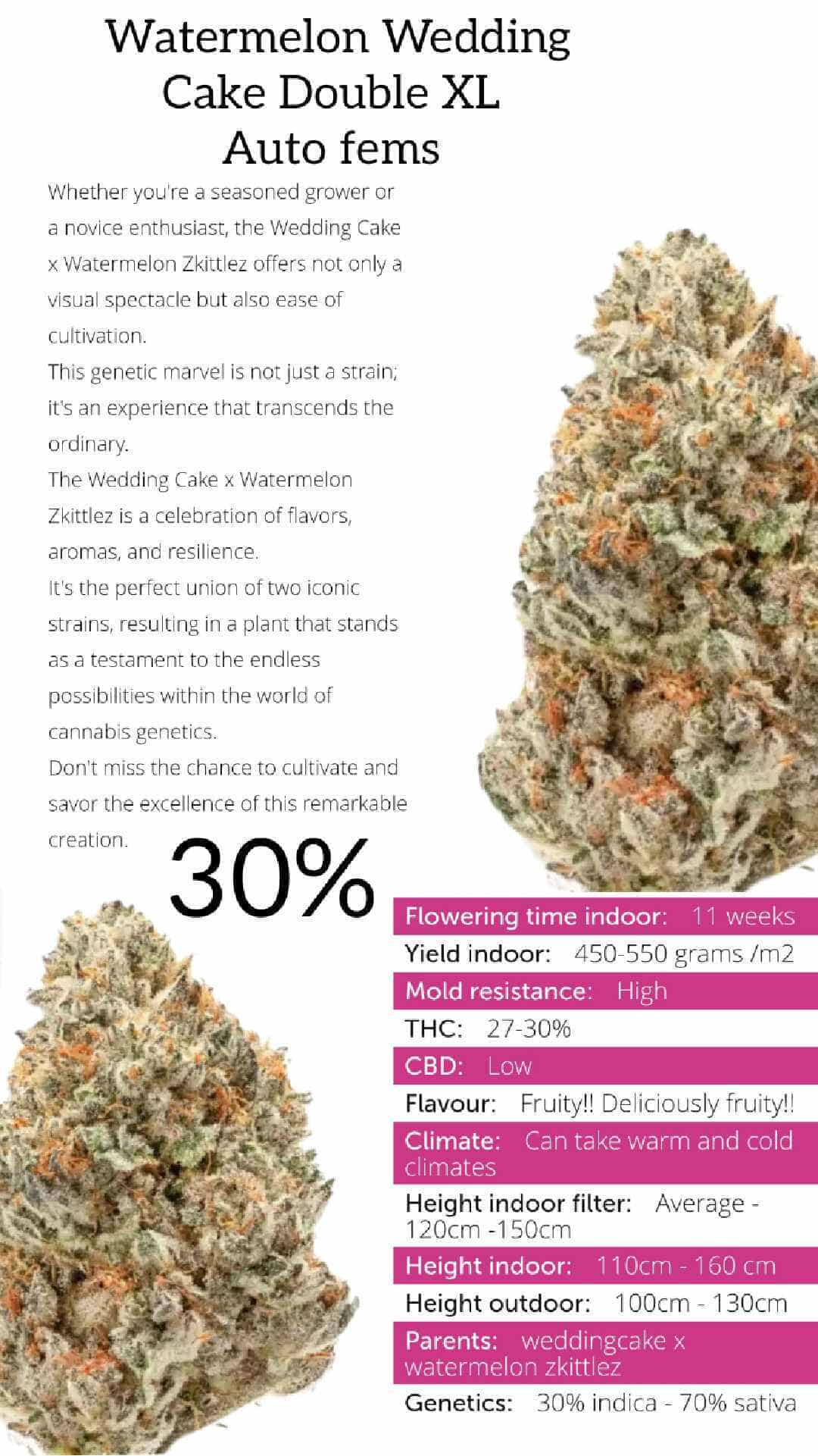 1000002303.jpg