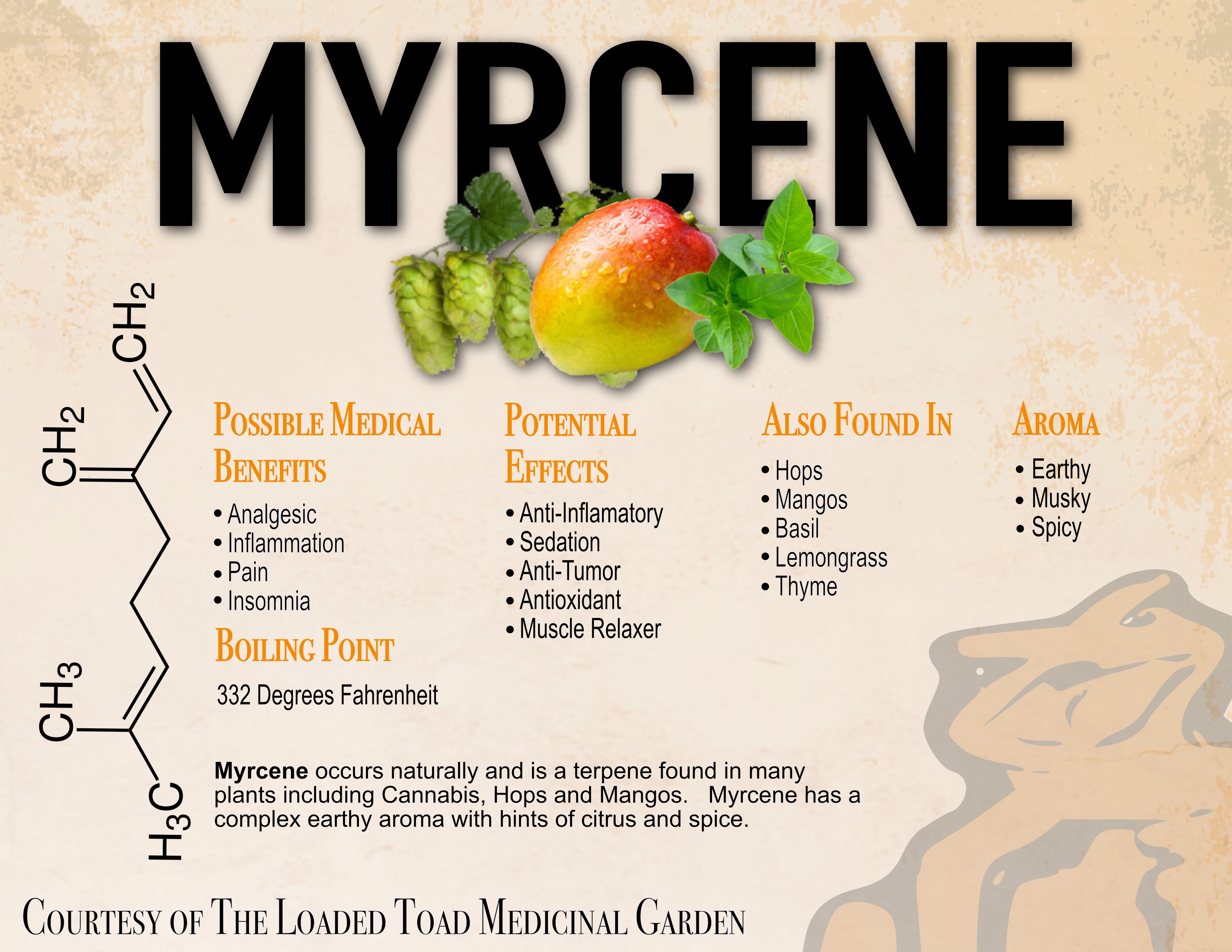 Myrcene Terp Sheet.jpg