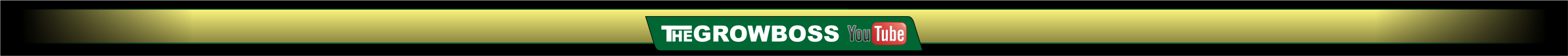 www.thegrowboss.com