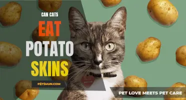petshun.com