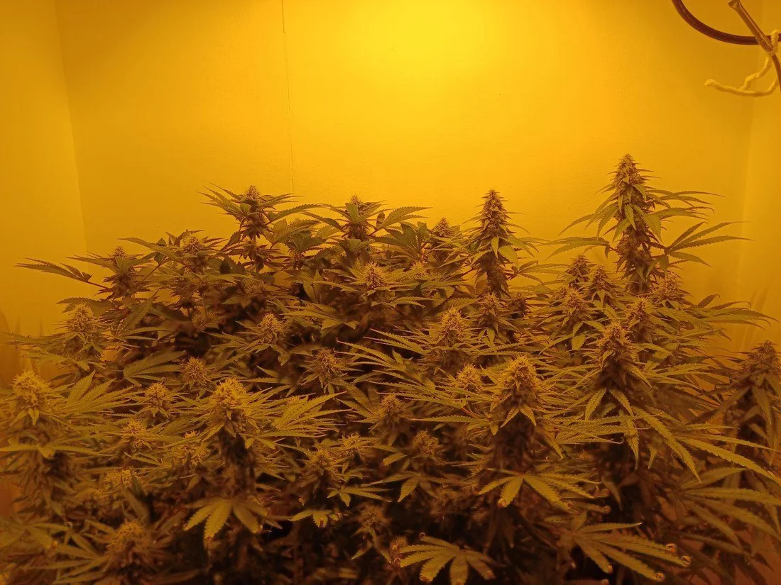 Group Shot F6 3