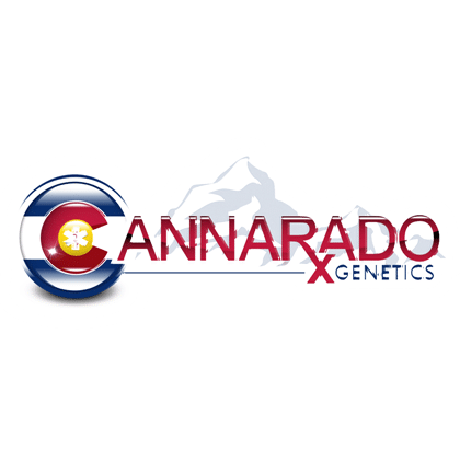 seedsherenow.com