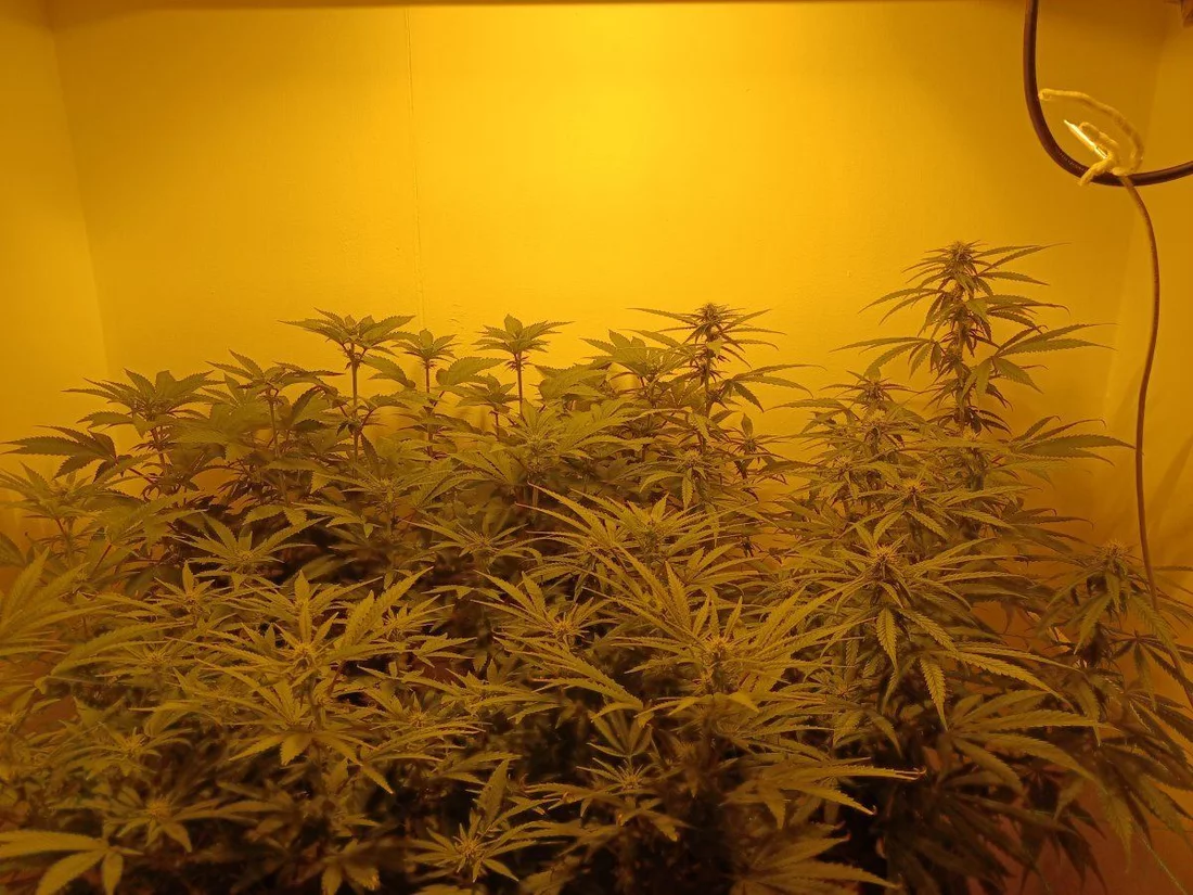 Group Shot F3 4