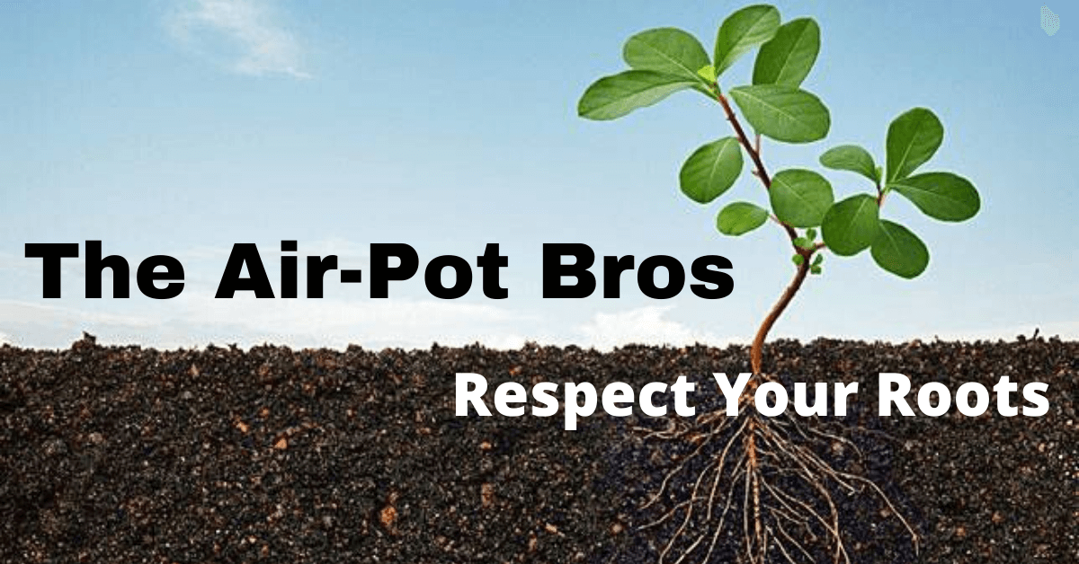 air-potbros.com