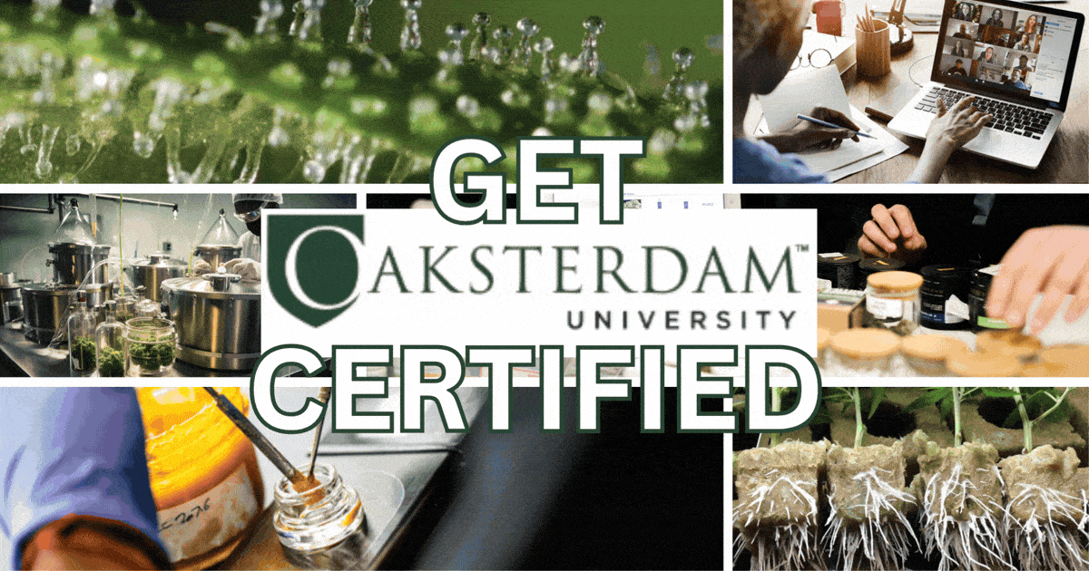 oaksterdam.com