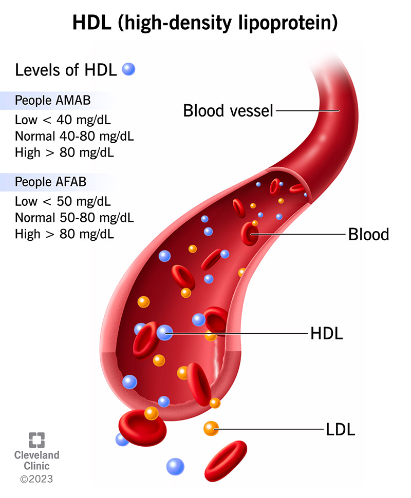 my.clevelandclinic.org