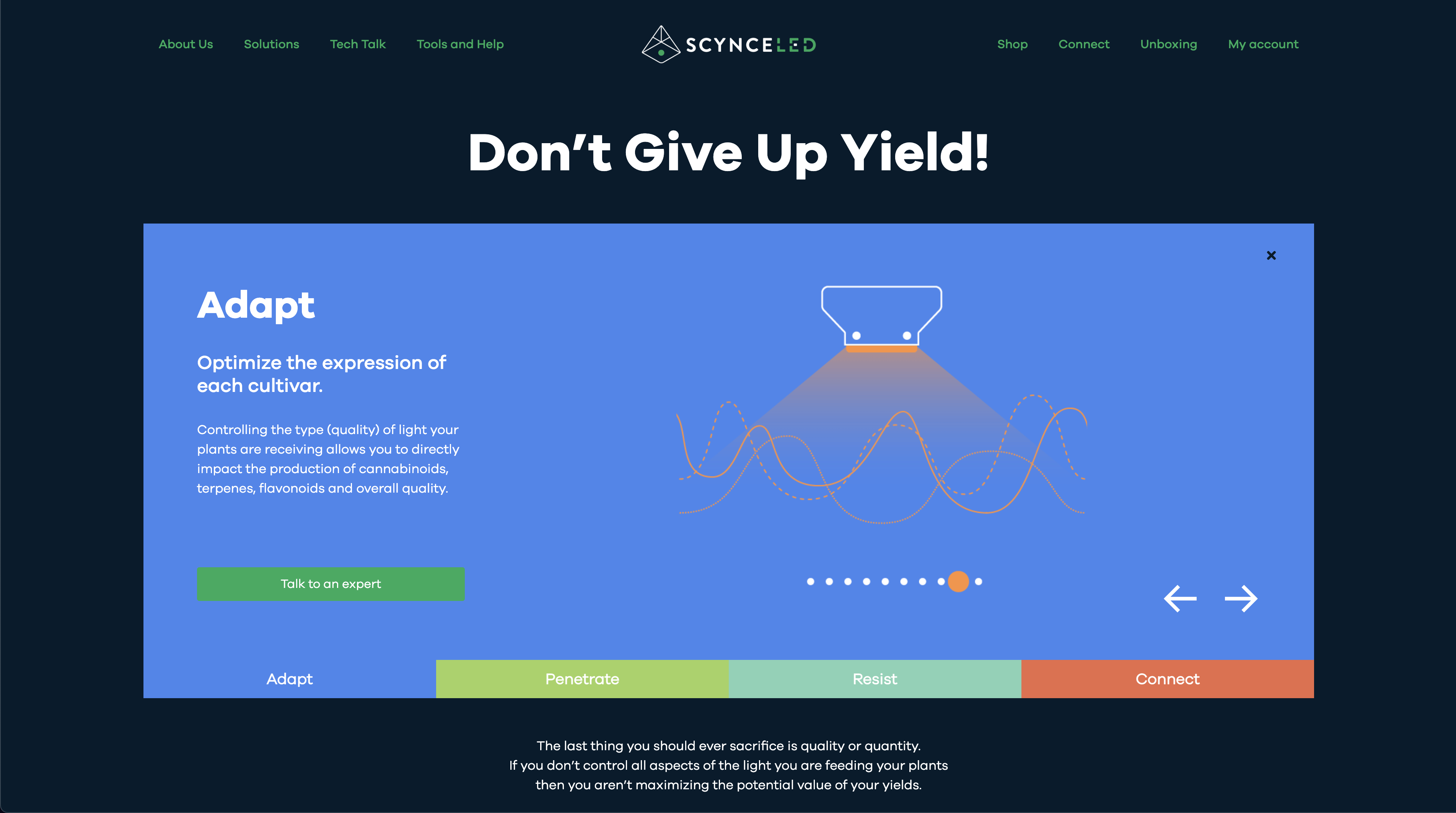 scynceled.com