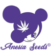 anesiaseeds.com