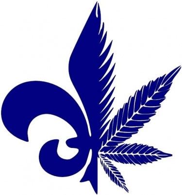 quebeccannabisseeds.com