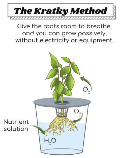 How-The-Kratky-Method-Works.png