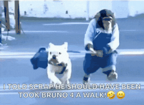 dog-monkey.gif